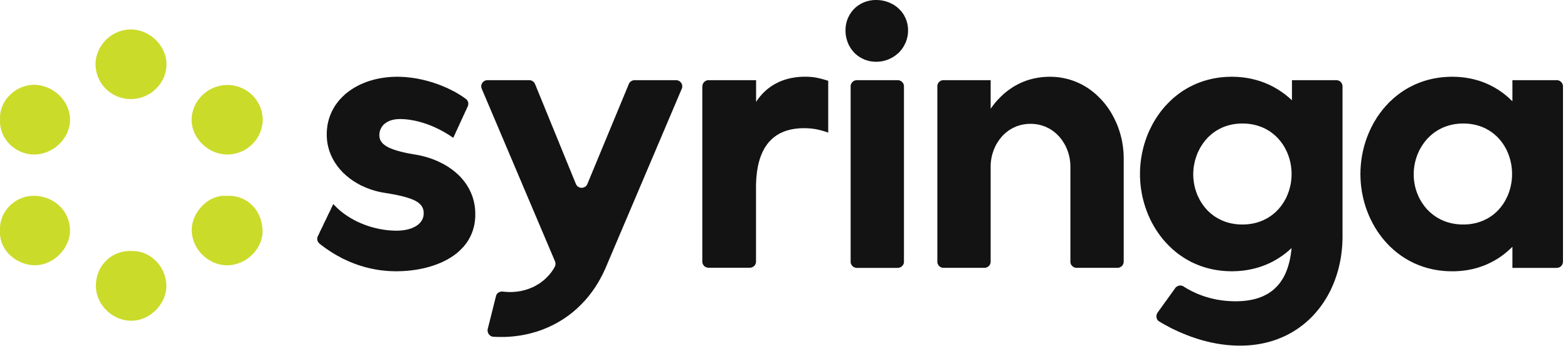 Syringa Networks