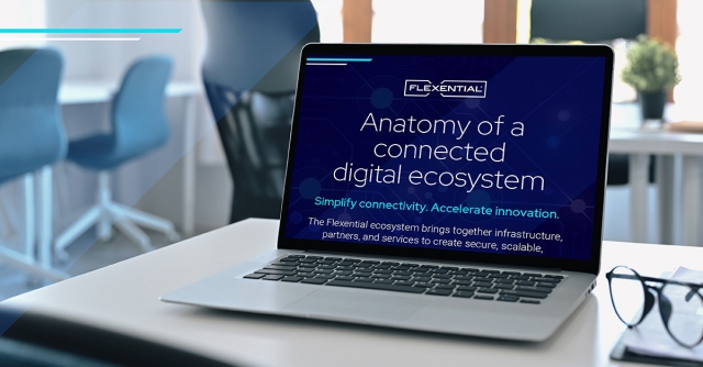 Anatomy of a connected digital ecosystem