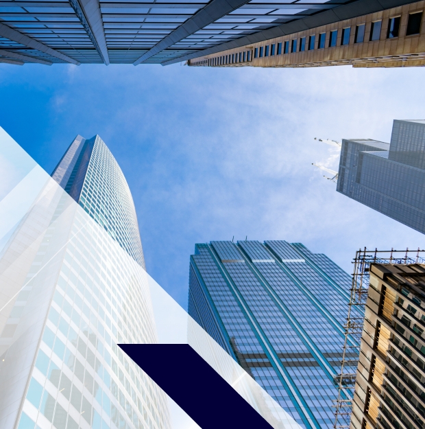 Agility and Ability to Scale Flexential Solution