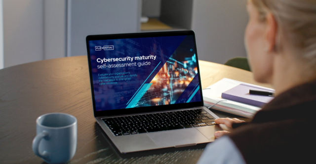 Cybersecurity Maturity Self-Assessment Guide Mock