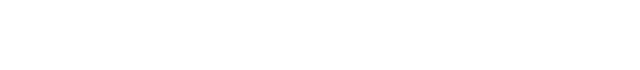 MediaNews Group Logo White