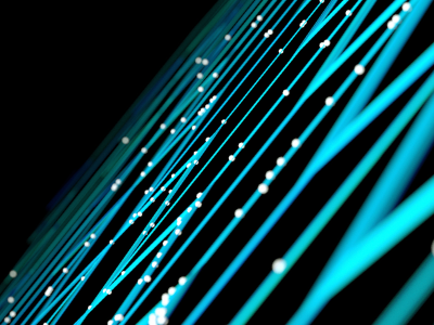 Data network web